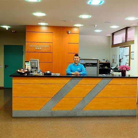 فايكان فندق
